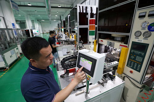 安徽合肥 培育科技型中小企業(yè)，以計(jì)算機(jī)軟硬件技術(shù)開發(fā)推動(dòng)高質(zhì)量發(fā)展